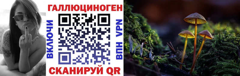 Псилоцибиновые грибы Psilocybine cubensis Венёв